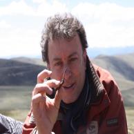 images/images/HM_gallery/Cordyceps_sinensis_Marco.jpg