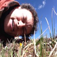 images/images/HM_gallery/Cordyceps_sinensis_Marco_look.jpg