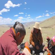 images/images/HM_gallery/Cordyceps_sinensis_Marco_lunch.jpg