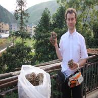 images/images/HM_gallery/Maitake_grifola_frondosa_Marco_check.jpg