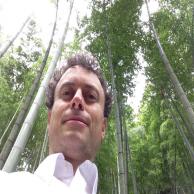 images/images/HM_gallery/Marco_bamboo_forest.jpg