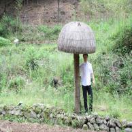 images/images/HM_gallery/Mushroom_Marco_Passerini.jpg