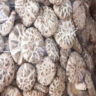 images/images/HM_gallery/Shiitake_AAA_food.jpg