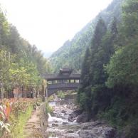 images/images/HM_gallery/Shiitake_village.jpg
